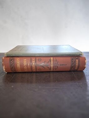Antique Book Bundle Of Two: Knickerbocker's New York and Sohrab and Rustum